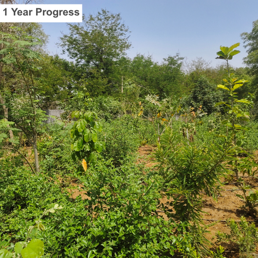 Shaping Tomorrow: Panasonic Green Impact Pledge – 1 year
