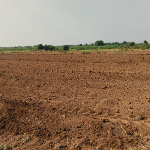 Schaeffler India Supplier Day 2026: Growing for Sustainability – Planting