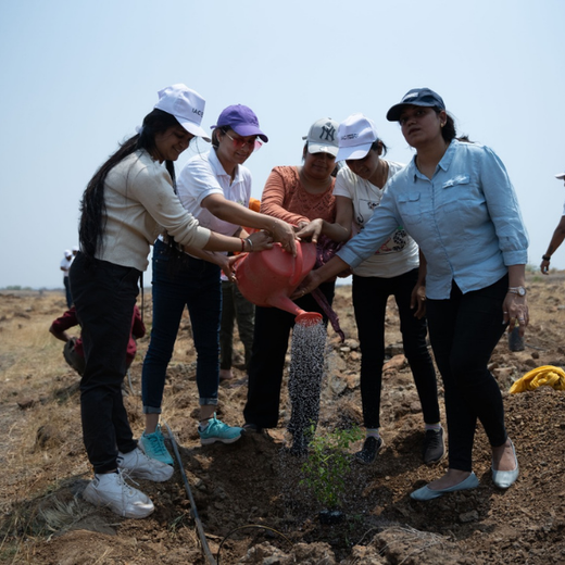 Planting Today for a Greener Tomorrow: IAC Group’s Agroforest Initiative for a Sustainable Future – Planting