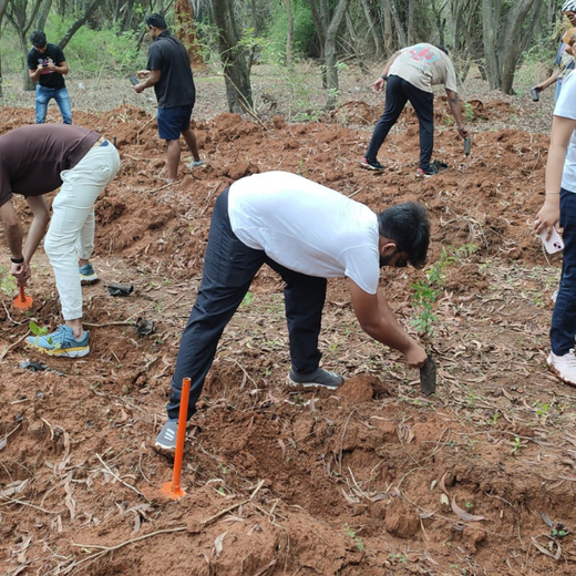 Headout's Commitment to Green Spaces: Empowering Employees with Urban Forests – Planting