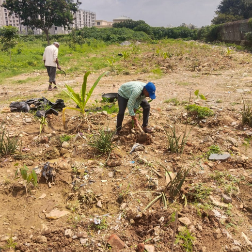 TotalEnergies Brings Together Teams to Grow an Urban Micro Forest – 1 year