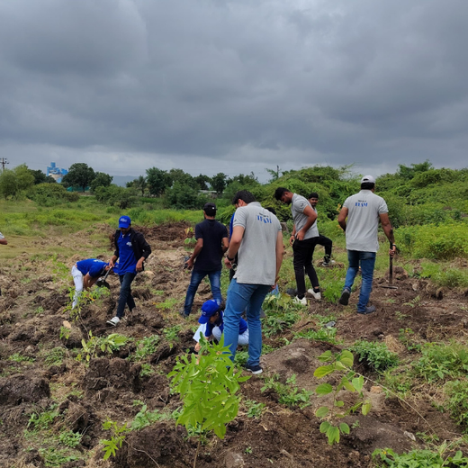 Building a Greener Future: Light & Wonder's Urban Forest Initiative for Sustainability – Planting