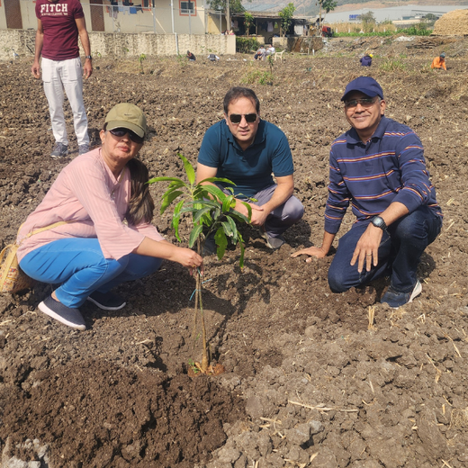 40 Years Strong: Planting Trees, Growing Memories in Agroforests – 6 months