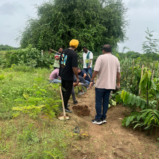 Greening Ahmedabad: Cimpress’s Urban Forest Initiative – Planting