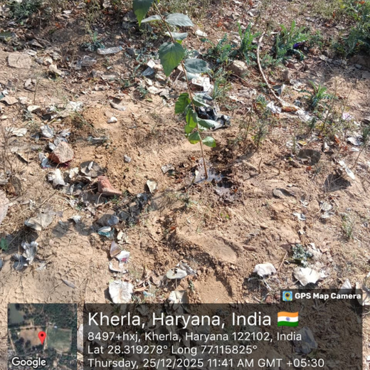 A Green Step This Christmas in Gurgaon by Yatendra Singh – 6 months