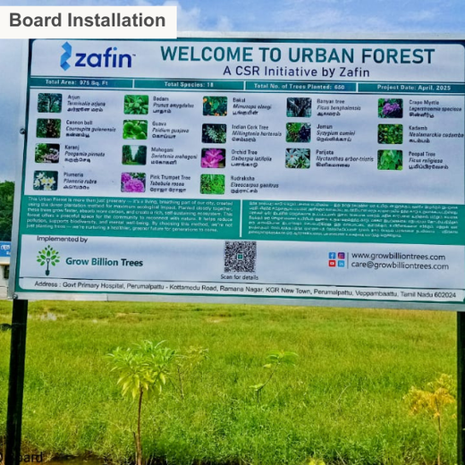 Tech Meets Trees: Zafin’s Urban Forest for ESG and Beyond – 2 years