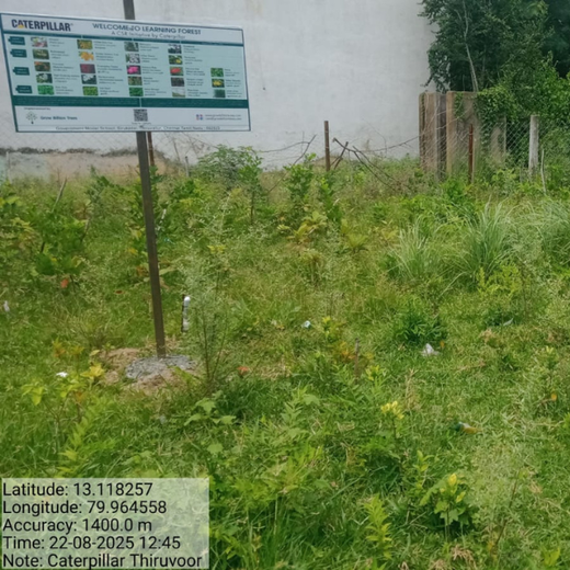Caterpillar's Legacy: A Learning forest in Sirukadal, Thiruvallur – 1 year