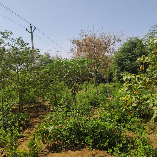 Shaping Tomorrow: Panasonic Green Impact Pledge – 1 year