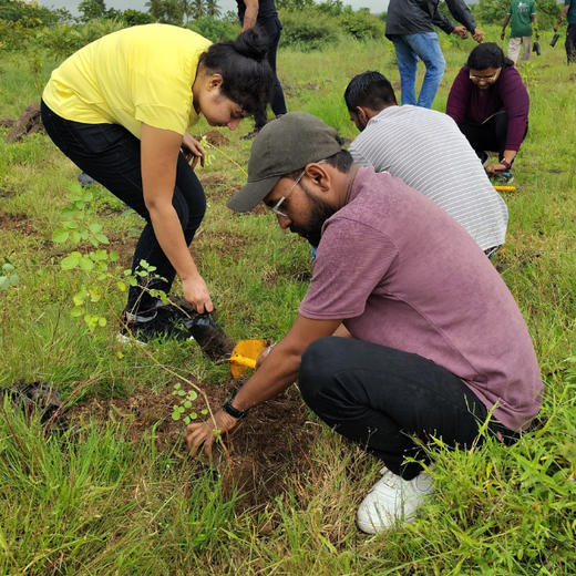 Valmont Structures: Growing Urban Forests, Growing Responsibility – Planting