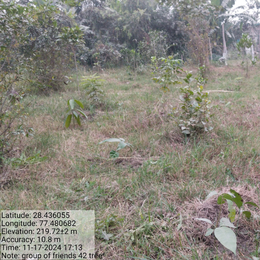 Celebrating Inspiring Women on Women’s Day: Rajpal Singh Duggal’s Urban Forest Initiative – Planting