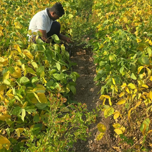 ESDS & Accops: Planting a Greener Future for AI Kumbh – Planting