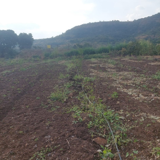 Nature First: Tarasafe’s World Nature Conservation Day Drive – 6 months