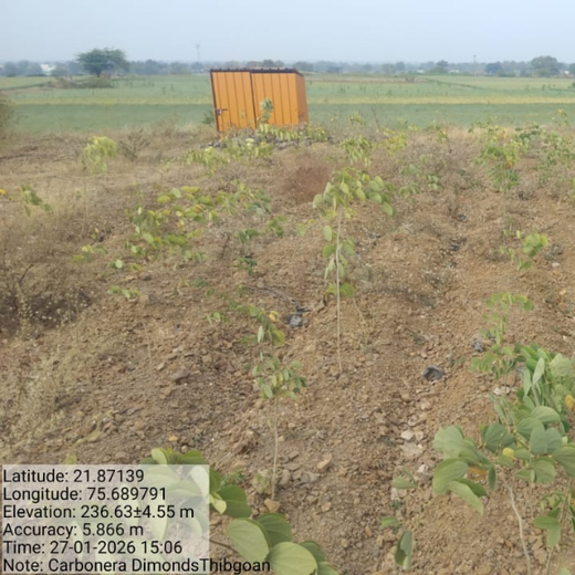Sparkling Sustainability: Carbonera’s Green Initiative – 6 months