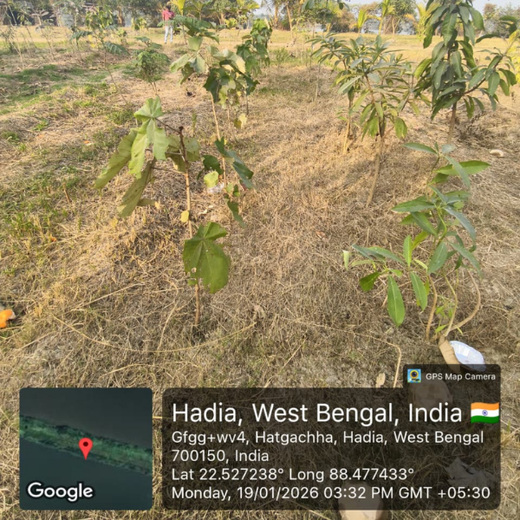 Rooted in Service, Growing Green: Rotary Club of Calcutta Visionaries – 2 years