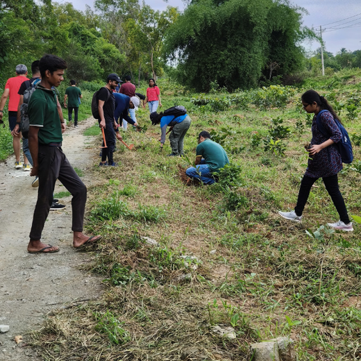 “Cimpress Bangalore's Green Quest: Building Urban Forests, Empowering Employees” – Planting