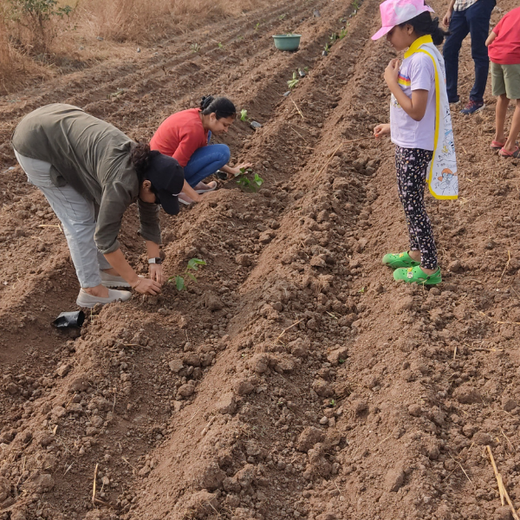 Beyond Today: Garg & Swarnakar Family’s Gift to Nature – Planting