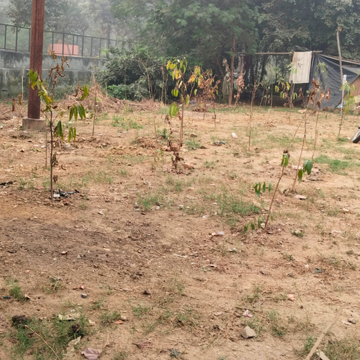 Resistoflex Dynamics: Building a Greener Community with Urban Forests – 1 year