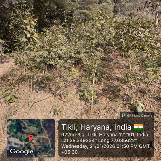 Buds of Change: A Tribute to Earth by Shweta and Friends – 1 year