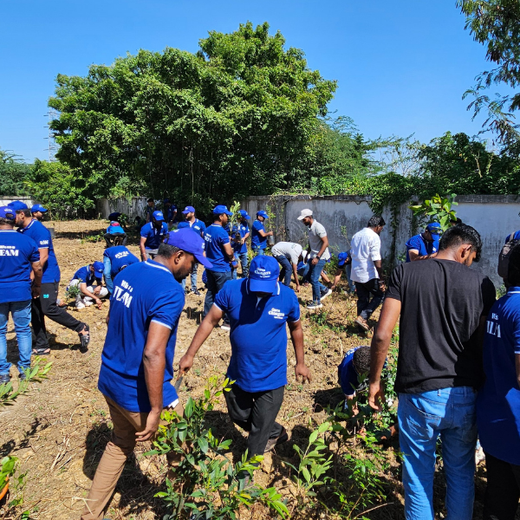 Nurturing Nature: Light & Wonder’s Green Engagement Program – Planting