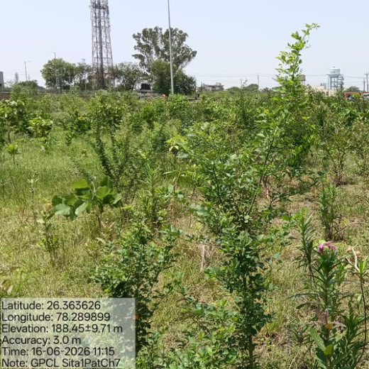 Forest by Design: Godrej Turns Industrial Space into Biodiversity Hub – 2 years
