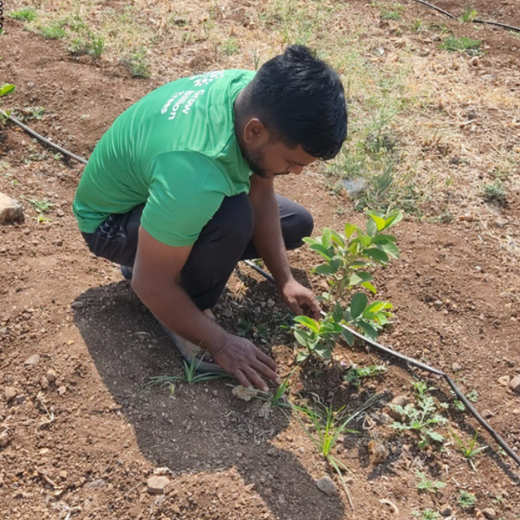 Aditi C. Bhanot’s Initiative for Environmental Restoration – Planting