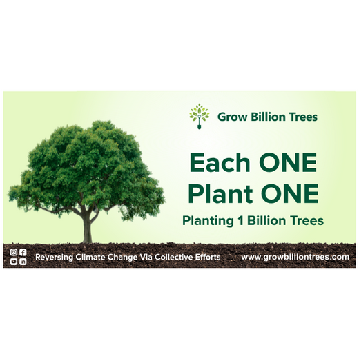 Investa Pumps Cultivates Change: A CSR Initiative for Agroforestry and Sustainability – Planting