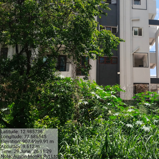 Urban Oasis: Austin Monks’ Green Vision in Bangalore – 6 months