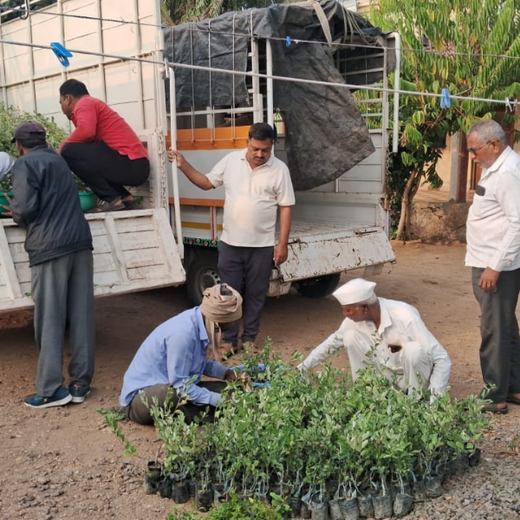 Planting Hope for Future Generations with Dentsu Global Services – Planting