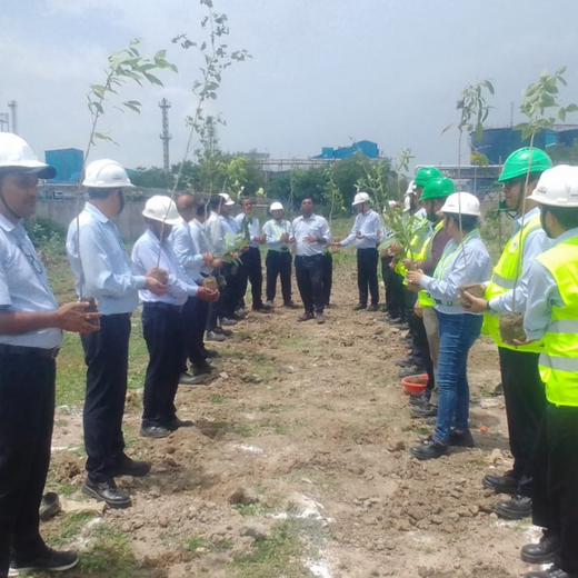 Forest by Design: Godrej Turns Industrial Space into Biodiversity Hub – 6 months