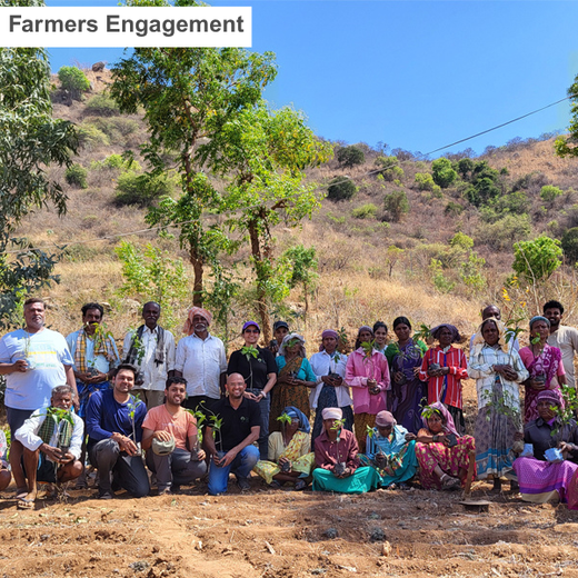 Tally Solutions Private Limited’s Sustainability Initiative – Planting