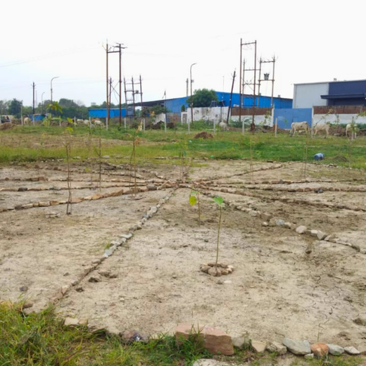 Forest by Design: Godrej Turns Industrial Space into Biodiversity Hub – 1 year