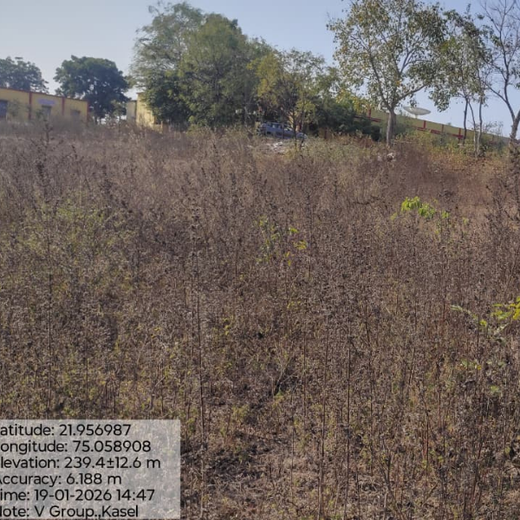 V Group’s Green Legacy: Sustainable Tree Planting for CSR in Kassel, Rajpur (MP) – 1 year