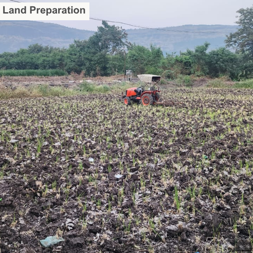 40 Years Strong: Planting Trees, Growing Memories in Agroforests – Planting