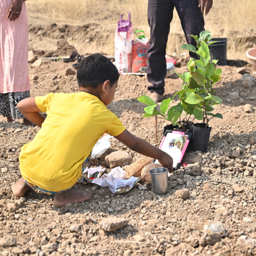 Reforesting with Purpose: We4All’s Tree Plantation for Climate & Livelihood – 6 months