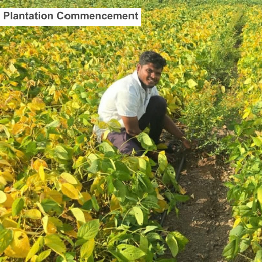 ESDS & Accops: Planting a Greener Future for AI Kumbh – Planting