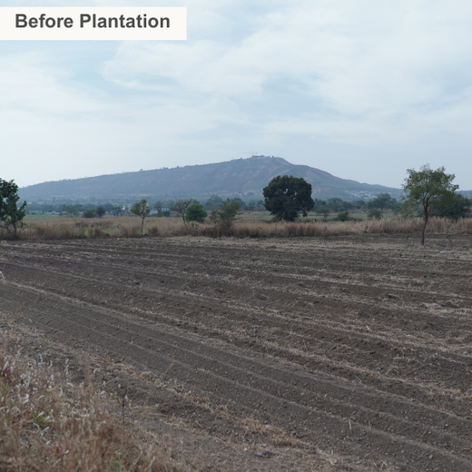 AIT’s Green Start to 2025: Growing Bonds, Growing Trees – Planting