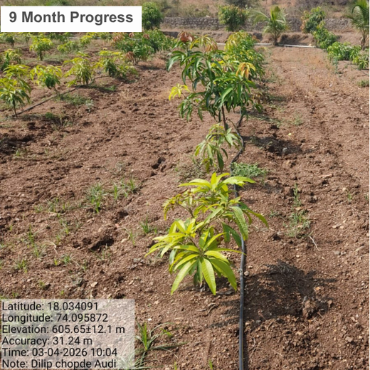 Shifting Gears Towards Green: Audi Mumbai West Plants for the Planet – 1 year