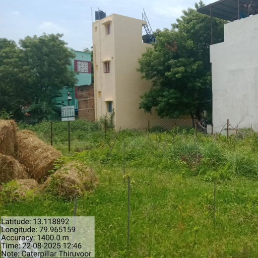 Caterpillar's Legacy: A Learning forest in Sirukadal, Thiruvallur – 1 year