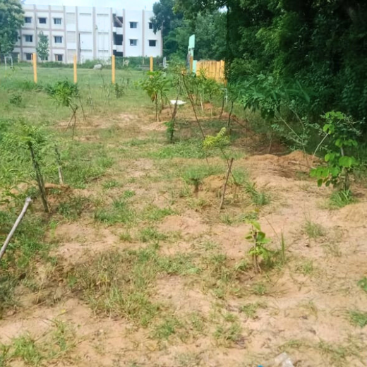 Tech Meets Trees: Zafin’s Urban Forest for ESG and Beyond – 2 years