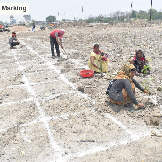 Forest by Design: Godrej Turns Industrial Space into Biodiversity Hub – Planting