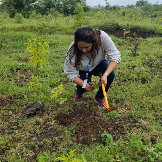 Valmont Structures: Growing Urban Forests, Growing Responsibility – Planting