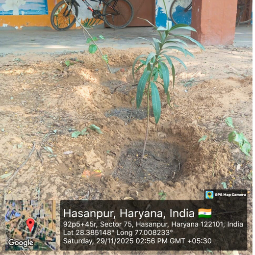 Innovating Sustainability: Xebia’s Urban Forest Footprint – 1 year