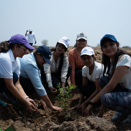 Planting Today for a Greener Tomorrow: IAC Group’s Agroforest Initiative for a Sustainable Future – Planting