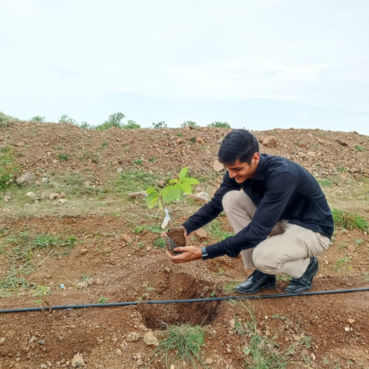Investa Pumps Cultivates Change: A CSR Initiative for Agroforestry and Sustainability – Planting