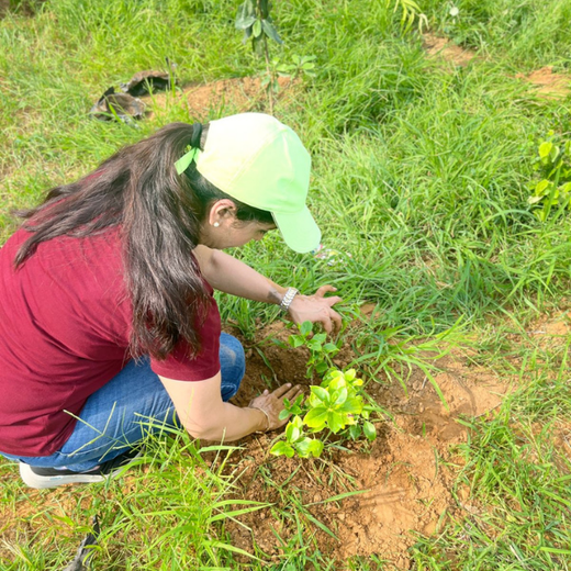 "Eco-Engagement: MongoDB’s Urban Forest Tree Planting for a Greener World" – Planting