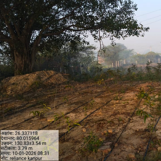 Growing Green Legacies: Reliance Industries Leads the Green Charge – 3 years