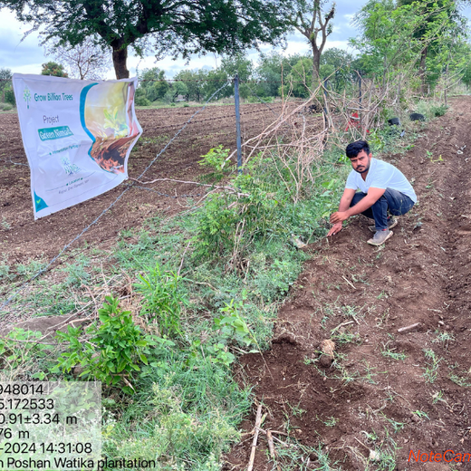 Where Triumph Meets Tradition: TARC's Tree Plantation for Event Winners – Planting