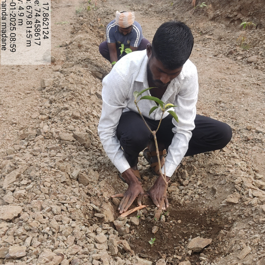 Innovating for the Earth: ALAN's Green Impact Initiative – Planting