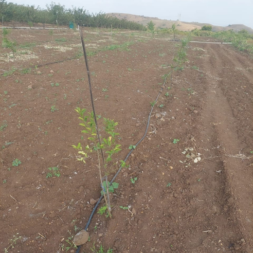 Nature First: Tarasafe’s World Nature Conservation Day Drive – 6 months