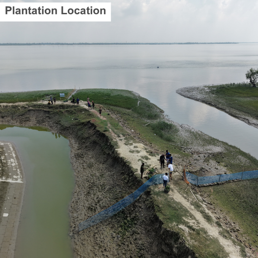Nature’s Guardians: Mangroves for People, Planet, and Prosperity – Planting